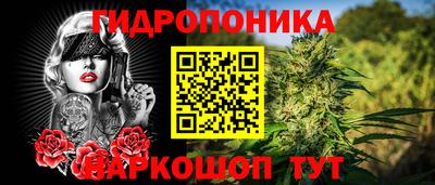 сатива Лесосибирск